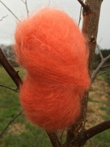 Chunky Mohair Koral